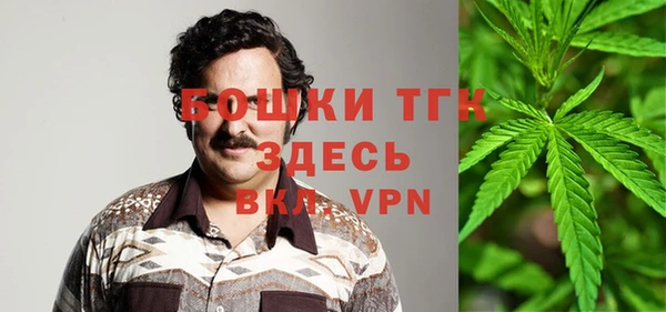 не бодяженный Алексин