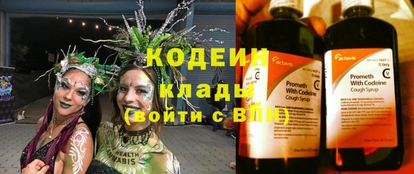 не бодяженный Алексин