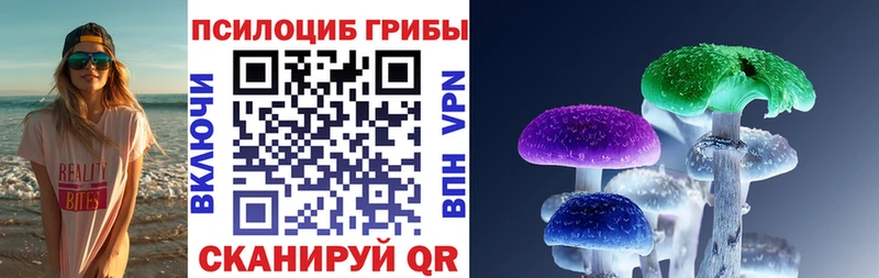 цена   Арамиль  Галлюциногенные грибы Magic Shrooms 